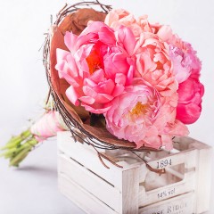 Гнездо любви